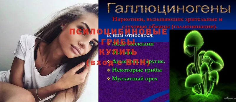 блэк спрут как зайти  Бобров  Галлюциногенные грибы прущие грибы 